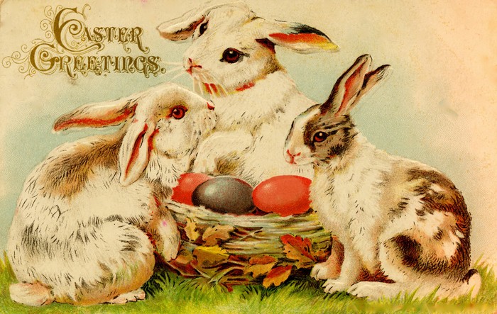 Easter bunny eggs